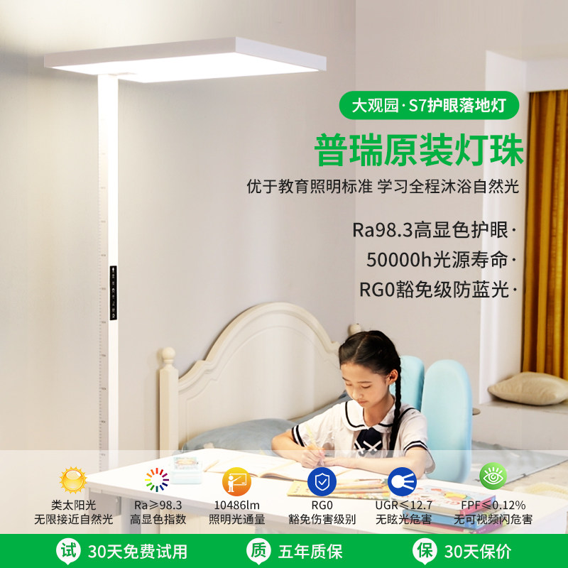 大路灯护眼灯落地立式儿童学生阅读学习专用书桌卧室钢琴灯具608E