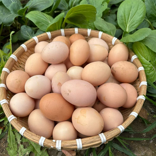 苏北农家正宗散养土鸡蛋农村新鲜草鸡蛋乌皮笨鸡蛋月子孕妇柴鸡蛋