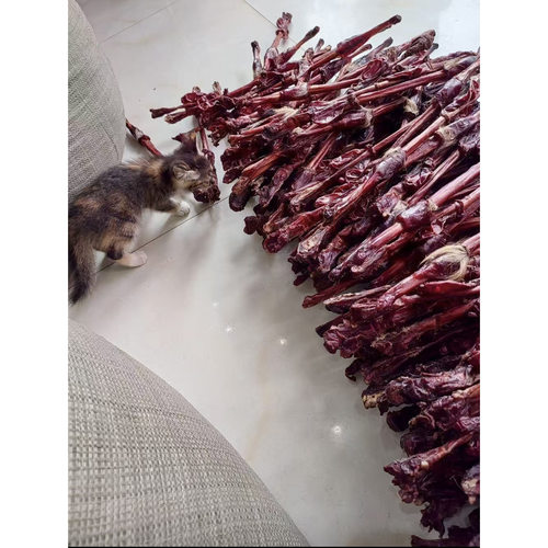 新货整根无硫狗鞭正宗中药材干带睾丸泡酒专用一级牛鞭驴鞭驴鞭