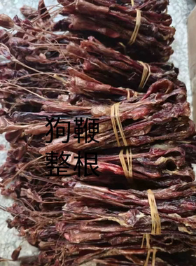 新货鞭正宗中药材干带睾丸整根无硫狗泡酒专用一级牛鞭驴鞭驴鞭