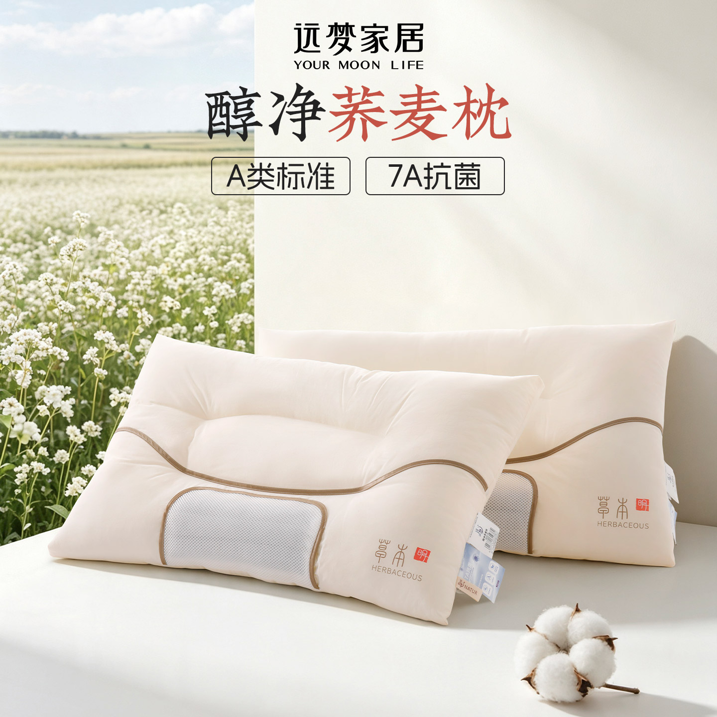 远梦家纺枕芯荞麦枕颈椎枕7A抗菌护颈枕家用成人透气学生宿舍枕头