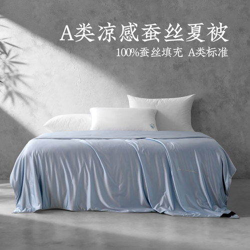 远梦家纺蚕丝被A类凉感空调夏凉被100%蚕丝夏被可水洗夏季薄被芯