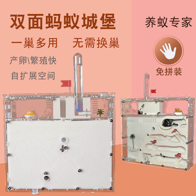 蚂蚁城堡工坊屋大型王国蚂蚁巢穴家园蚁后生态箱可扩容双面四层小