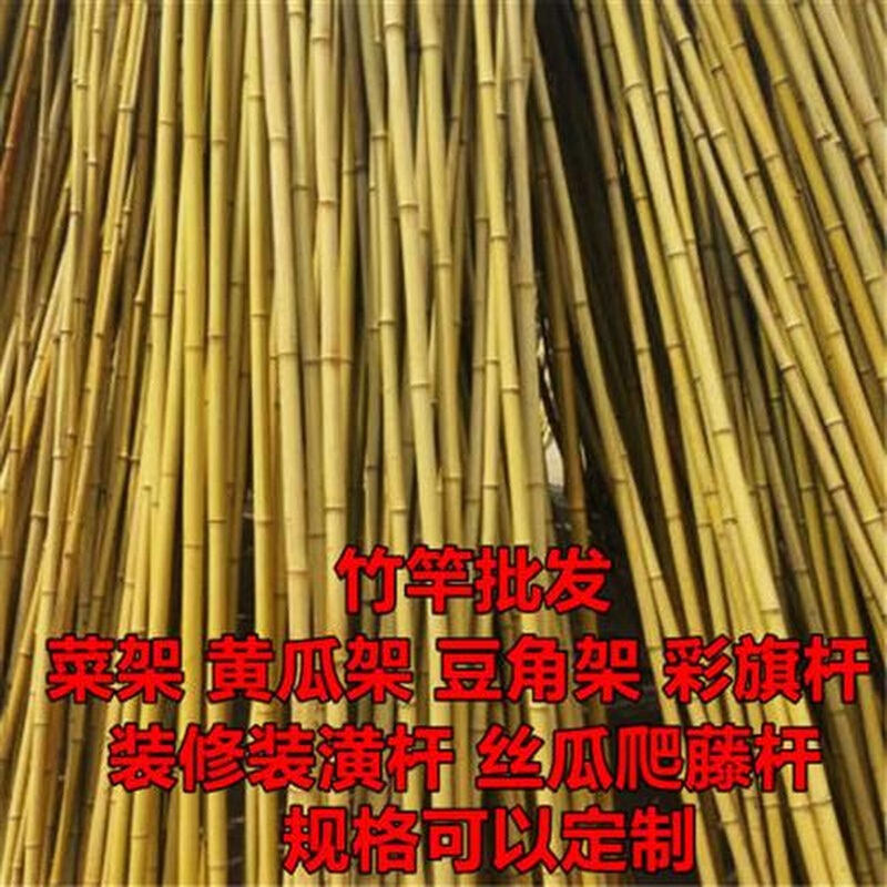 竹竿菜园搭架爬藤西红柿豆角架黄瓜竹杆彩旗杆装饰篱笆栅栏细竹子