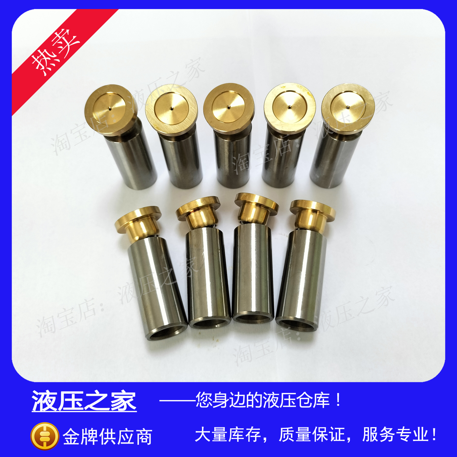 PUSH普什PROTH液压变量柱塞泵 油泵 BK45 柱塞 活塞 配件