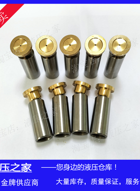 PUSH普什PROTH液压变量柱塞泵 油泵  BK55 柱塞  活塞 配件包邮