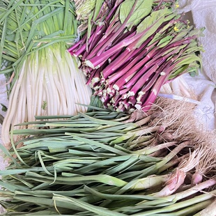重量可以备注 紫菜苔共五斤 蒜苗1斤 葱1斤