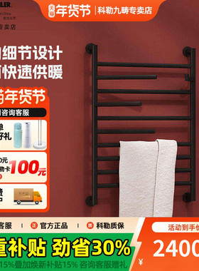 科勒智能电加热毛巾架浴室挂衣架卫生间烘干架电热浴巾架29352T