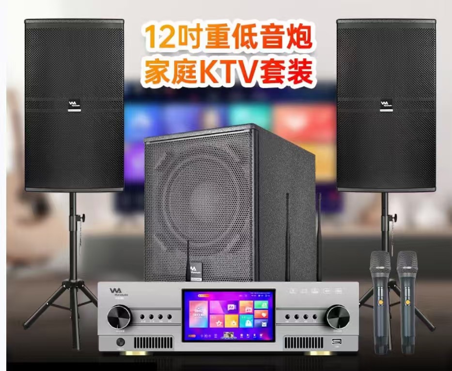 钻石音响套装家庭ktv全套家用卡拉ok点歌机功放音箱唱歌设备