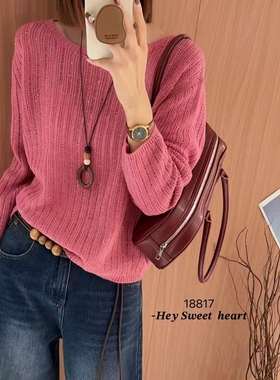 18817休闲设计感简约圆领长袖针织衫女春季百搭显瘦毛衣配项链