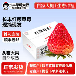 【现摘现发 大果】长丰草莓红颜奶油草莓安徽长丰合肥新鲜草莓99