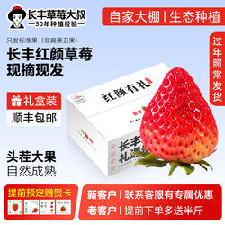 【现摘现发 特大果】长丰草莓红颜奶油草莓安徽长丰合肥新鲜草莓9