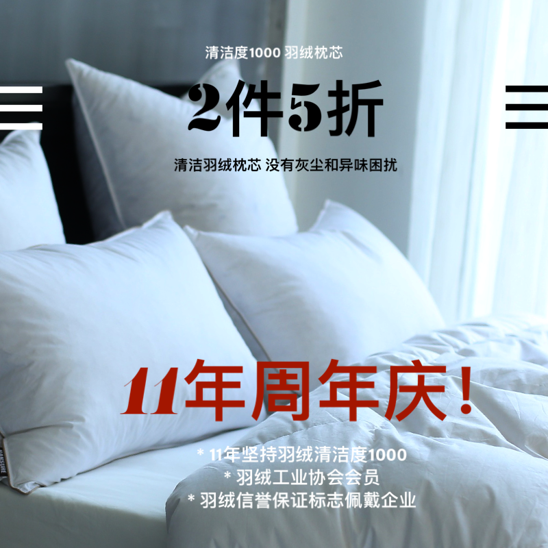 汉尚家居高清洁无异味羽绒枕芯