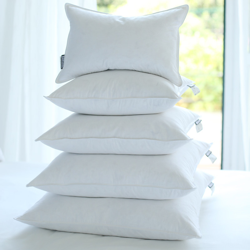 清洁度1000杭州羽绒芯汉尚羽绒