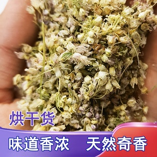 内蒙古山葱花野葱花泽蒙扎蒙花麻麻花摘麻花调香调料烘干100g瓶装