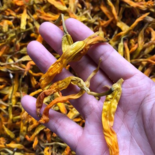 新鲜无硫黄花菜干货农家土特产台湾品种头茬金针花菜煲汤250g商用