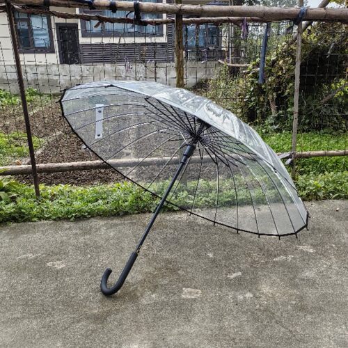 24骨超大双人弯钩自动透明伞加大结实抗风雨伞长柄伞男女两用新款