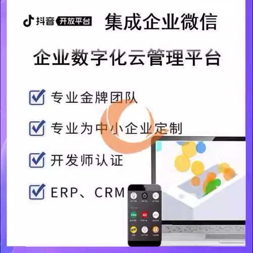 抖音OpenAPI抖音小程序JS API抖音云SDK抖音集成企业微信对接企微
