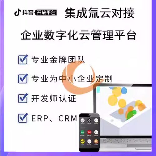 抖音OpenAPI抖音小程序JS API抖音云SDK抖音集成氚云对接氚云视频