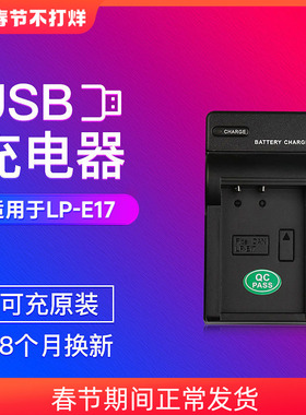沣标LP-E17充电器USB适用佳能R50V电池R100 R8 R10 RP 850D M6II M6/5/3微单反760D相机750D800D 200D座充77D