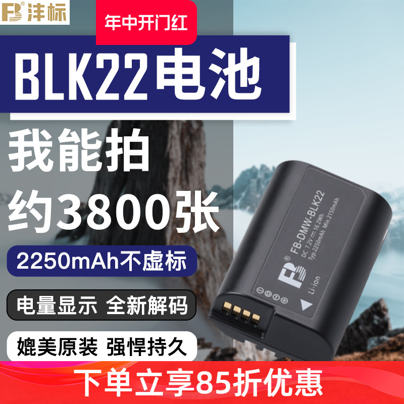 DMW-BLK22电池S5S5KS5M2GH5M2