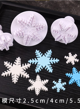 圣诞节雪花翻糖模具弹簧饼干