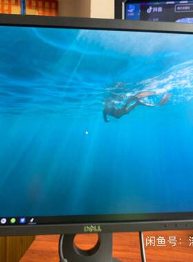 议价戴尔P1917S显示器 分辨率1280×1024 升降