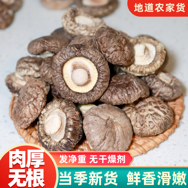 深山香菇农家香菇商用干香菇干货无干燥剂金钱菇新货煲汤蘑菇