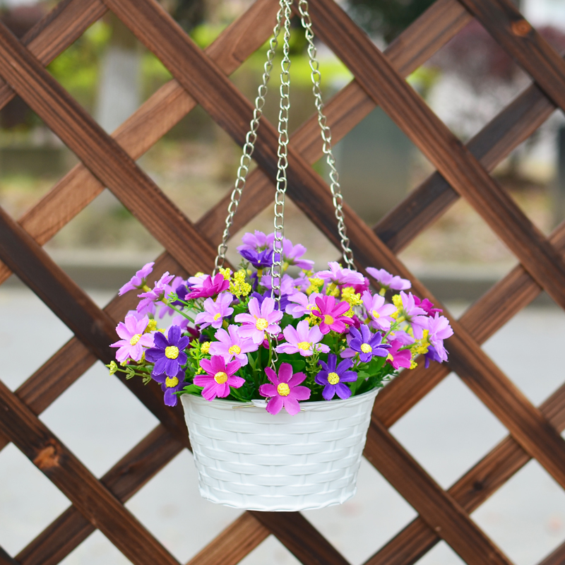 吊篮盆栽悬挂绿色植物雏菊装饰花