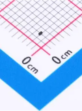 ESD203B102ELSE6327XTSA1 0201 全新原装