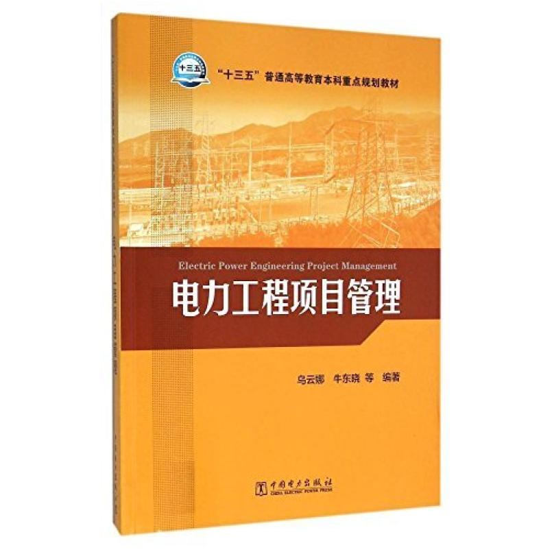 二手电力工程项目管理 乌云娜 中国电力出版社