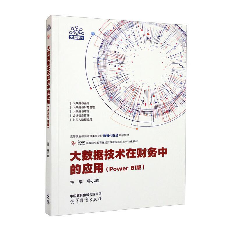 二手大数据技术在财务中的应用(PowerBI版) 谷小城 高等教育出版