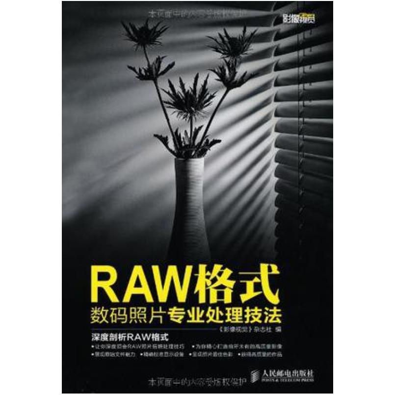 二手RAW格式数码照片专业处理技法 胡岩 人民邮电出版社