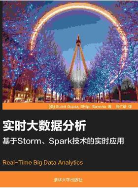 二手实时大数据分析:基于Storm、Spark技术的实时应用 Sumit Gupt