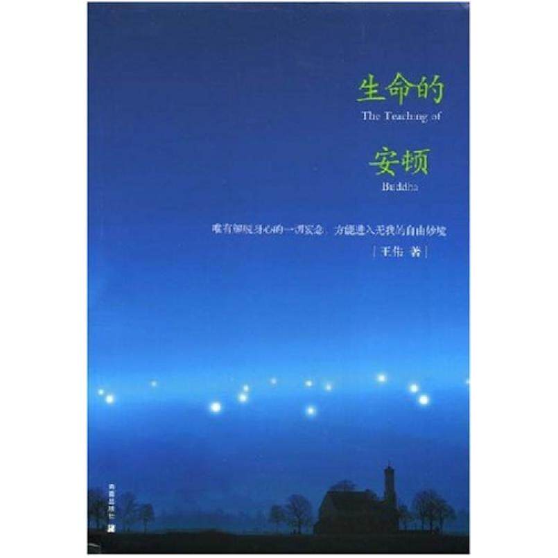 二手生命的安顿 王伟 海南出版社