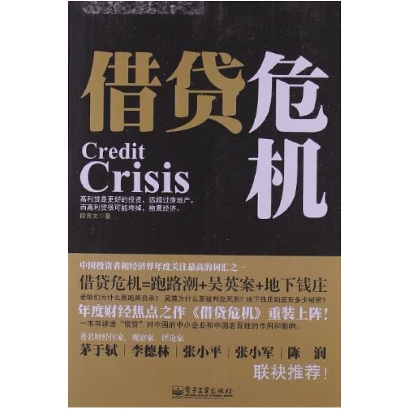 二手借贷危机 段育文 电子工业出版社