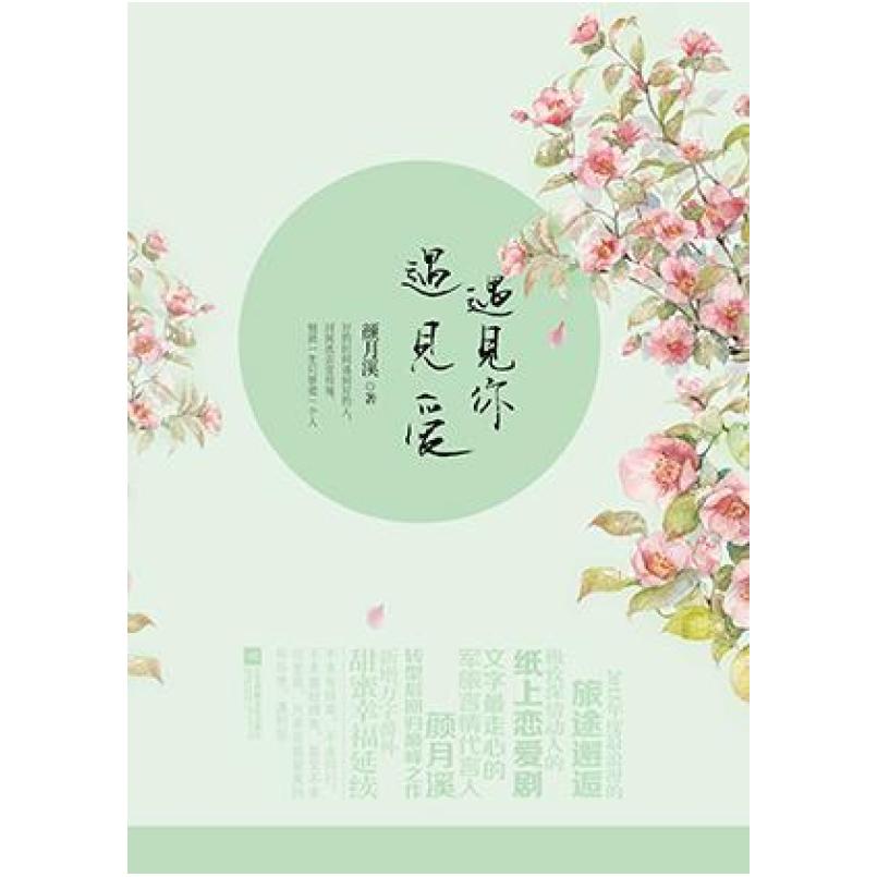 二手遇见你,遇见爱 颜月溪 江苏凤凰文艺出版社