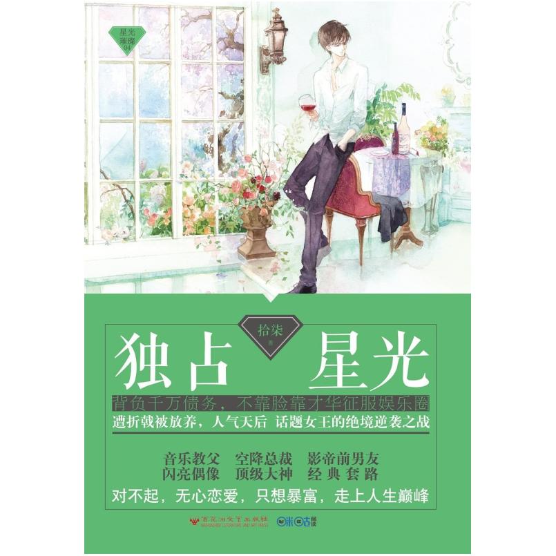 二手独占星光 拾柒 百花洲文艺出版社