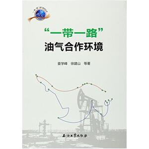二手一带一路 油气合作环境 姜学峰等著 石油工业出版社