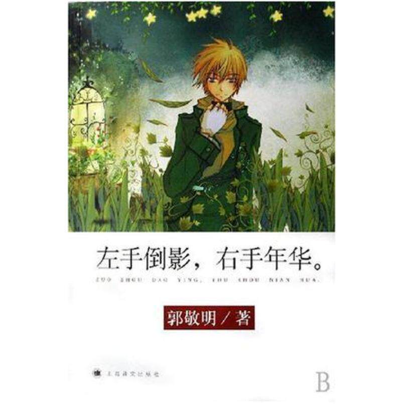 二手左手倒影，右手年华。 郭敬明 上海译文出版社