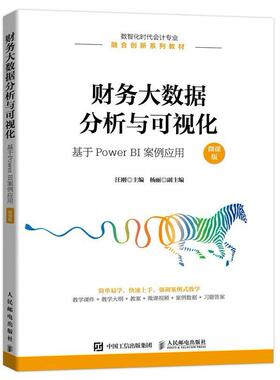 二手财务大数据分析与可视化 汪刚 人民邮电出版社