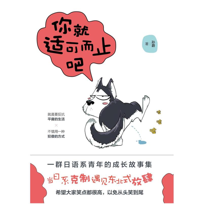 二手你就适可而止吧 孙爵 北京日报出版社