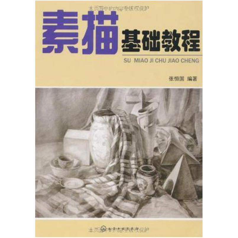 二手素描基础教程 张恒国 化学工业出版社