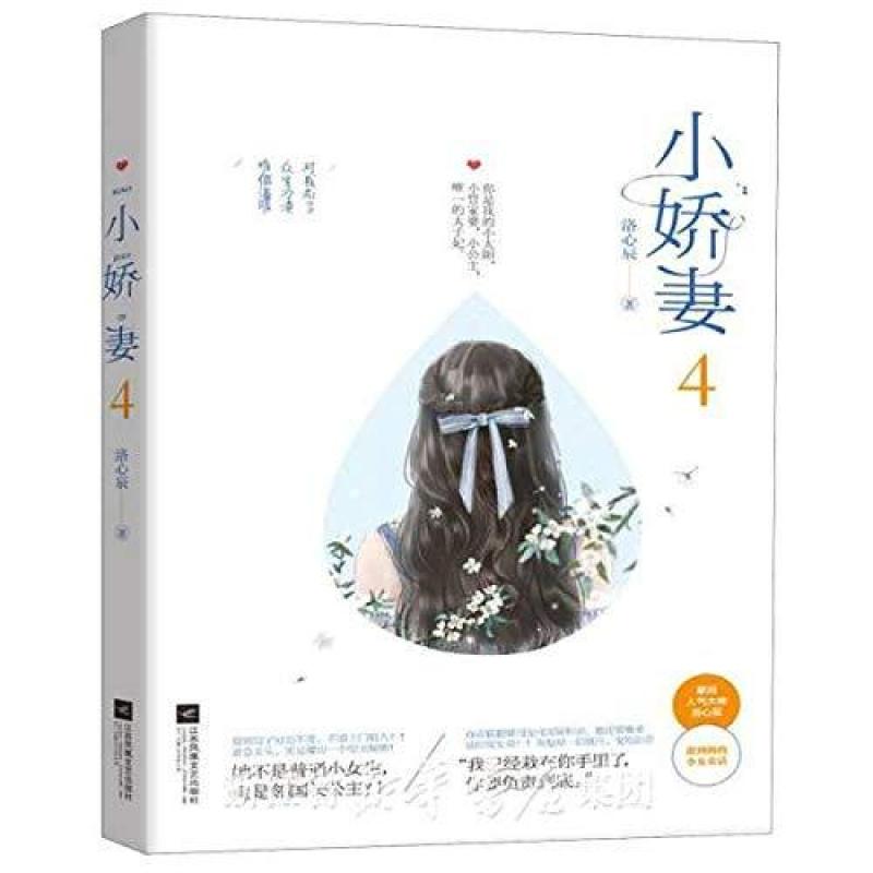 二手小娇妻 4 洛心辰 江苏凤凰文艺出版社