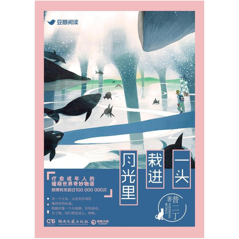 二手一头栽进月光里 普二丁 湖南文艺出版社