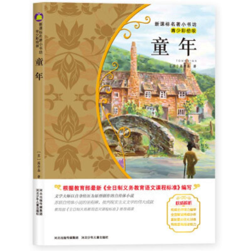 二手童年(青少彩绘版) (苏)高尔基 河北少年儿童出版社