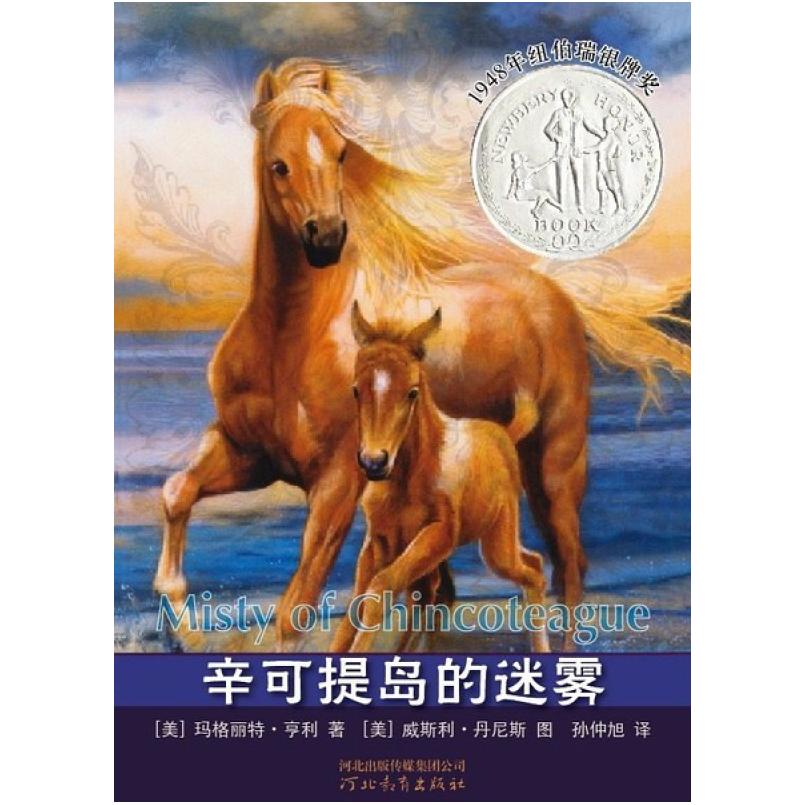 二手辛可提岛的迷雾 (美)玛格丽特·亨利 河北教育出版社