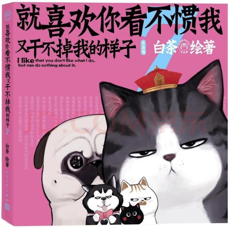 二手就喜欢你看不惯我又干不掉我的样子7 白茶 人民文学出版社