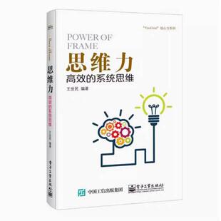 二手思维力：高效的系统思维 王世民 电子工业出版社