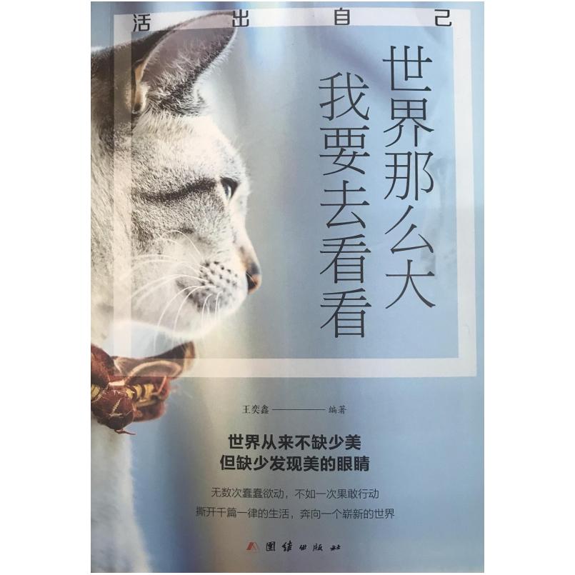 二手世界那么大,我要去看看 王奕鑫 团结出版社